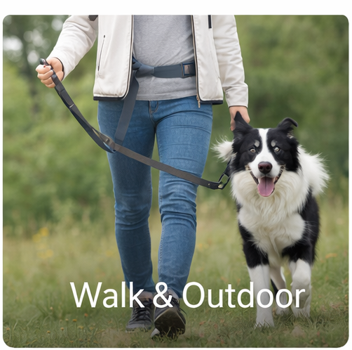 🐕 Walk & Outdoor