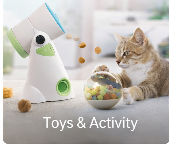 🎾 Toys & Activity