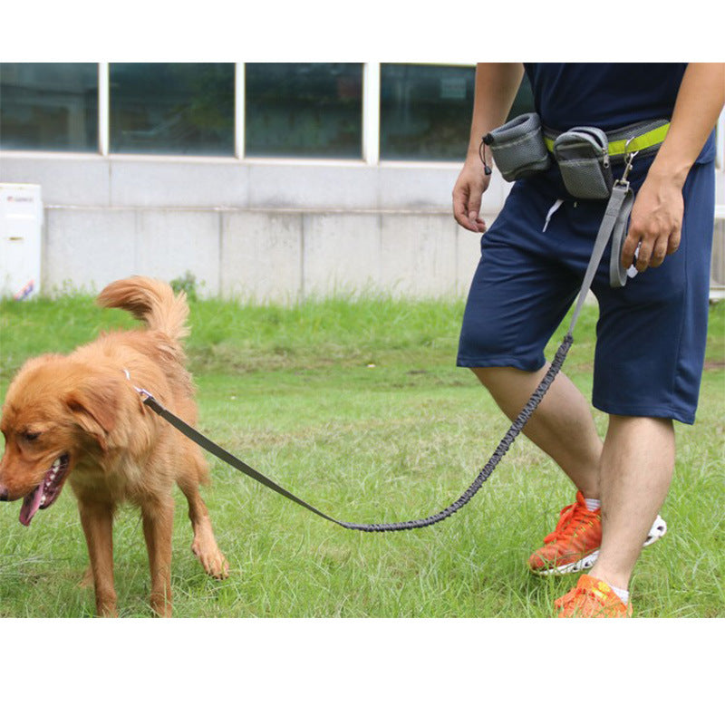 FreedomWalk™ Hands-Free Dog Leash