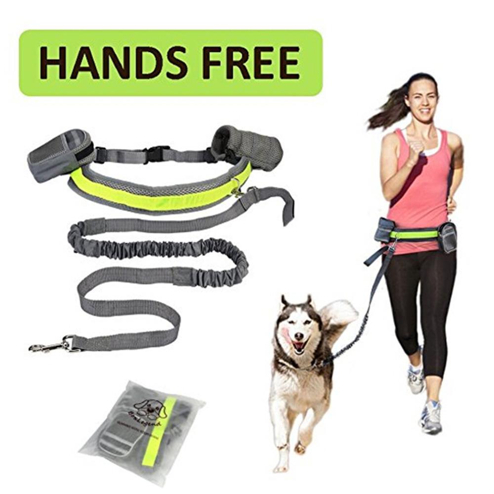FreedomWalk™ Hands-Free Dog Leash