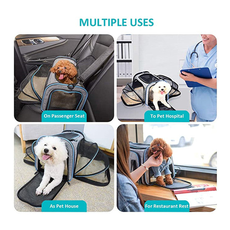 PawPort™ Travel Carrier